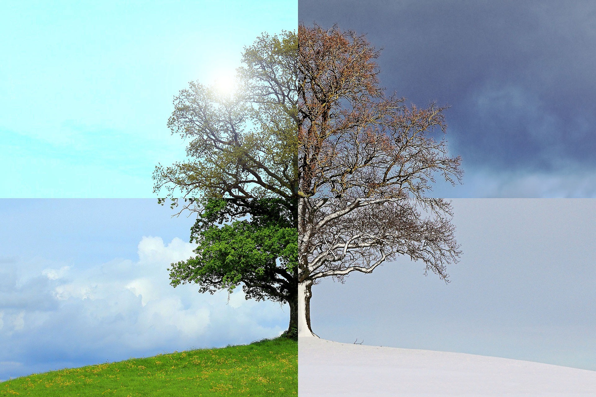 Die vier Jahreszeiten: Wann beginnt ein Jahr in der Natur?