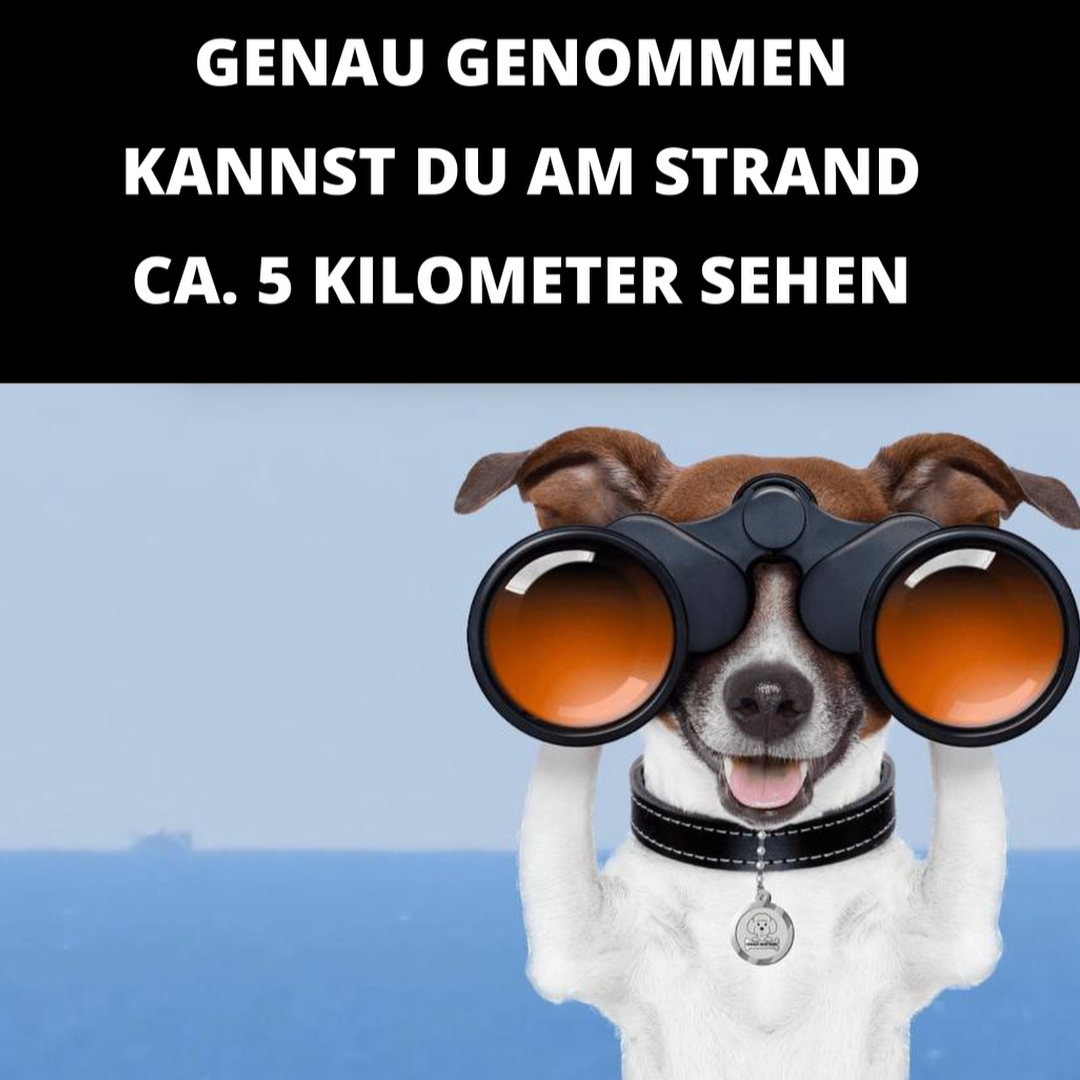 Genau genommen kannst Du am Strand rund 5 Kilometer weit sehen, so lernen wir es.