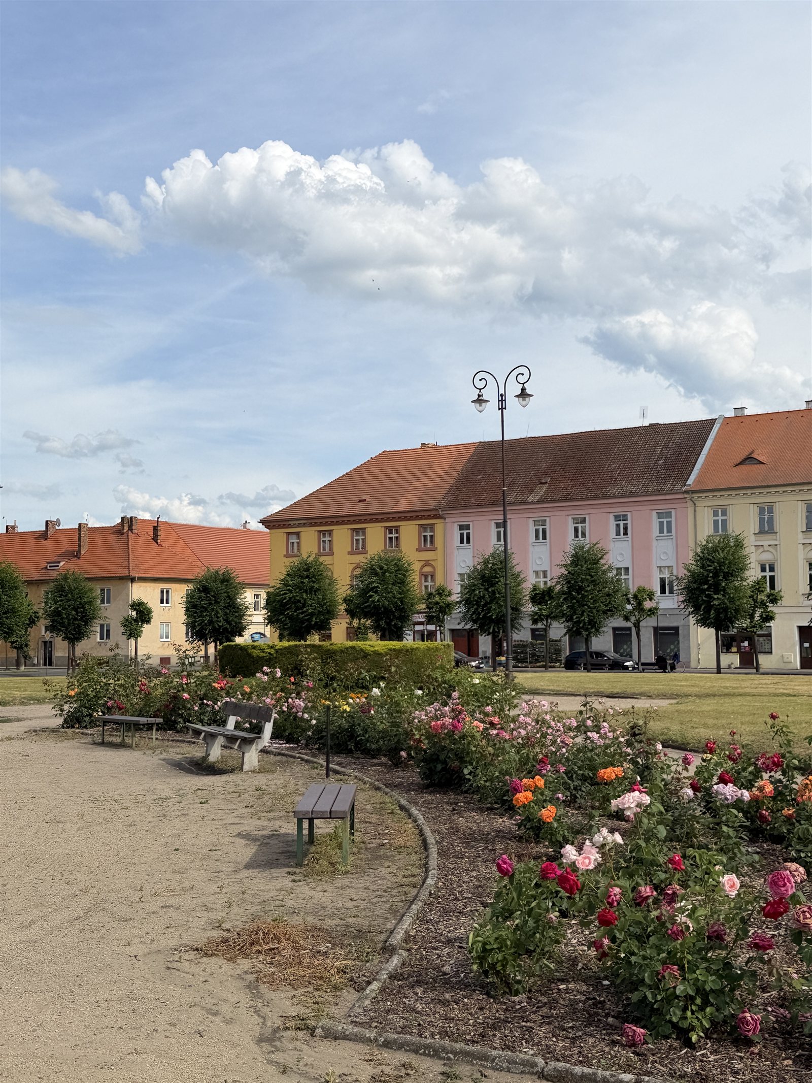 Platz mit Pastellfassaden und Rosen