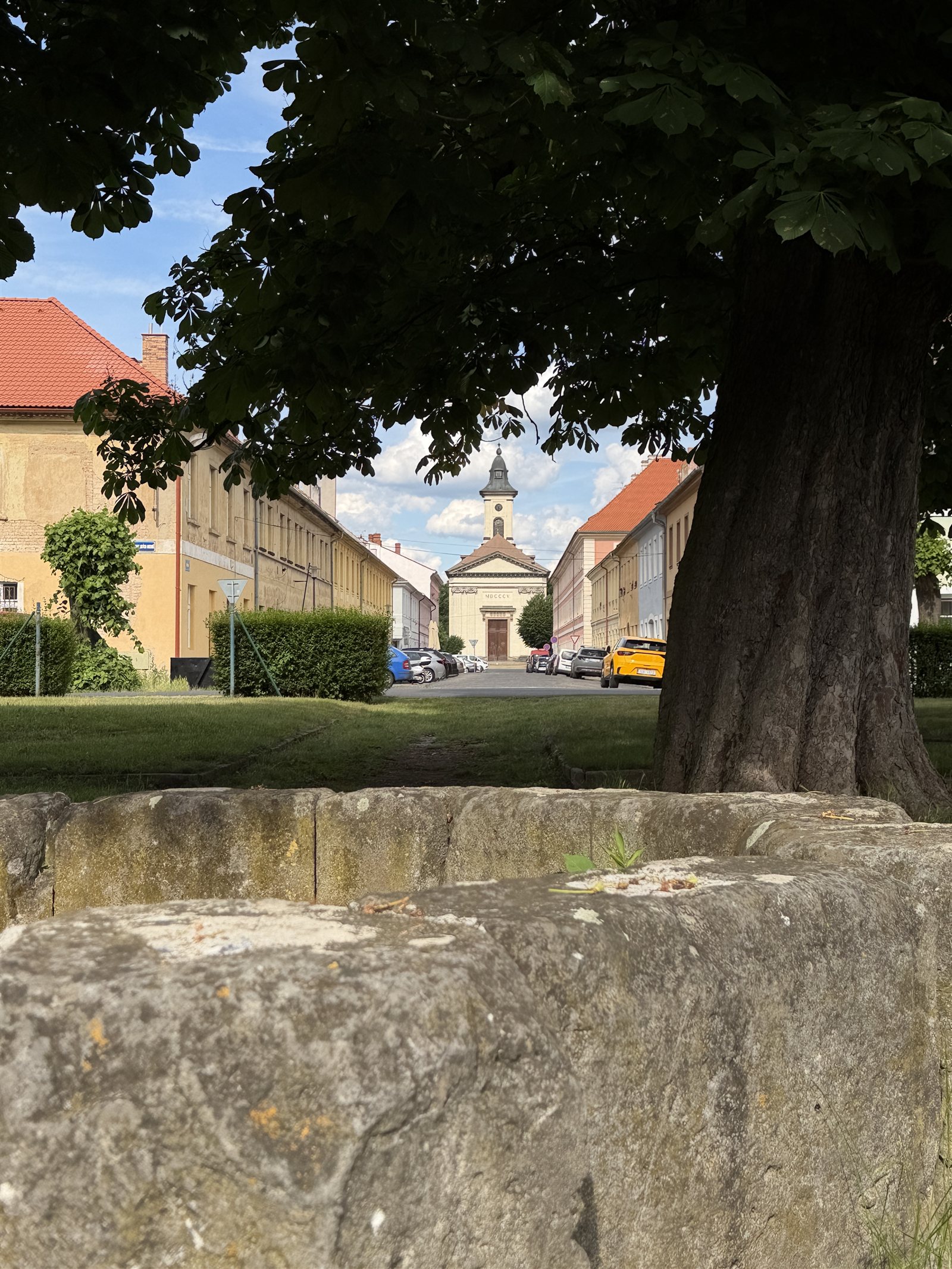 Blick durch eine Baumallee auf das Stadtzentrum