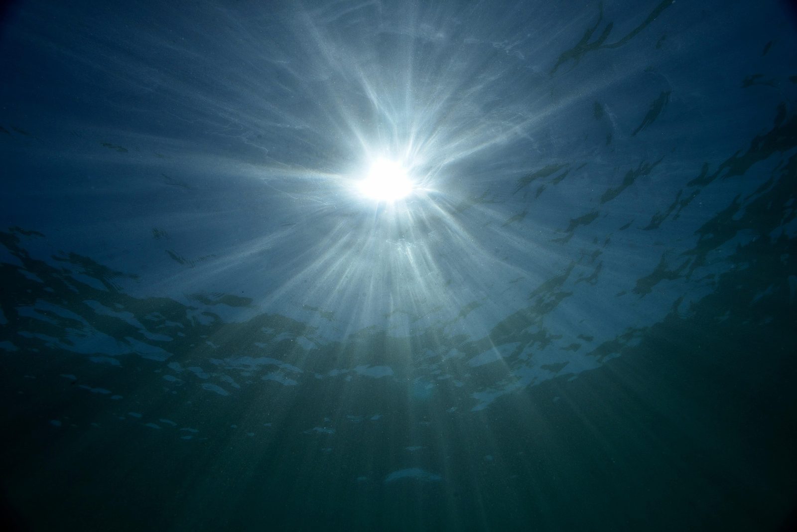 Licht, das durch Wasser fällt.